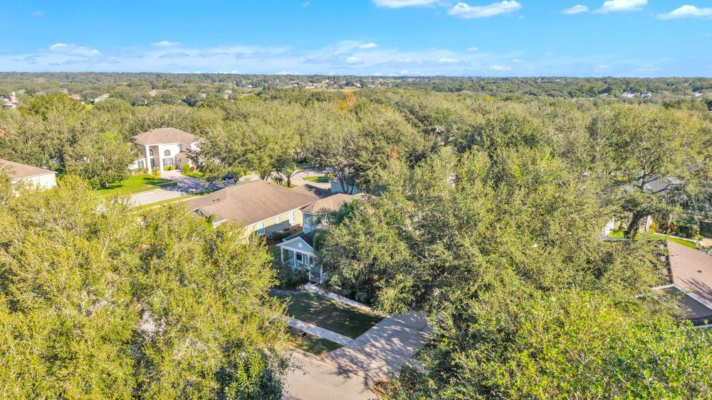 929 MAGNOLIA BLOSSOM CT, APOPKA, FL, 32712
