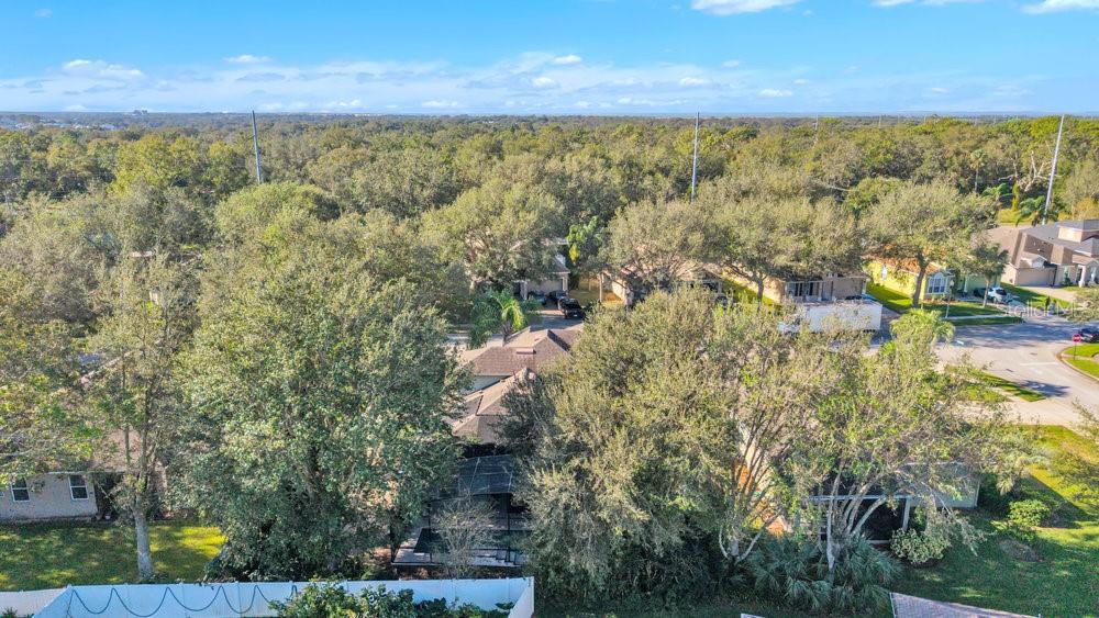 929 MAGNOLIA BLOSSOM CT, APOPKA, FL, 32712