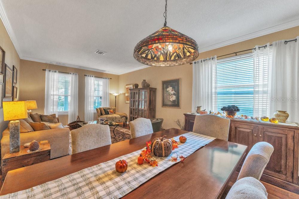 929 MAGNOLIA BLOSSOM CT, APOPKA, FL, 32712