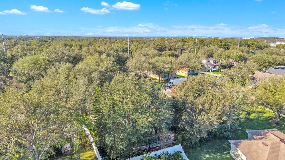 929 MAGNOLIA BLOSSOM CT, APOPKA, FL, 32712