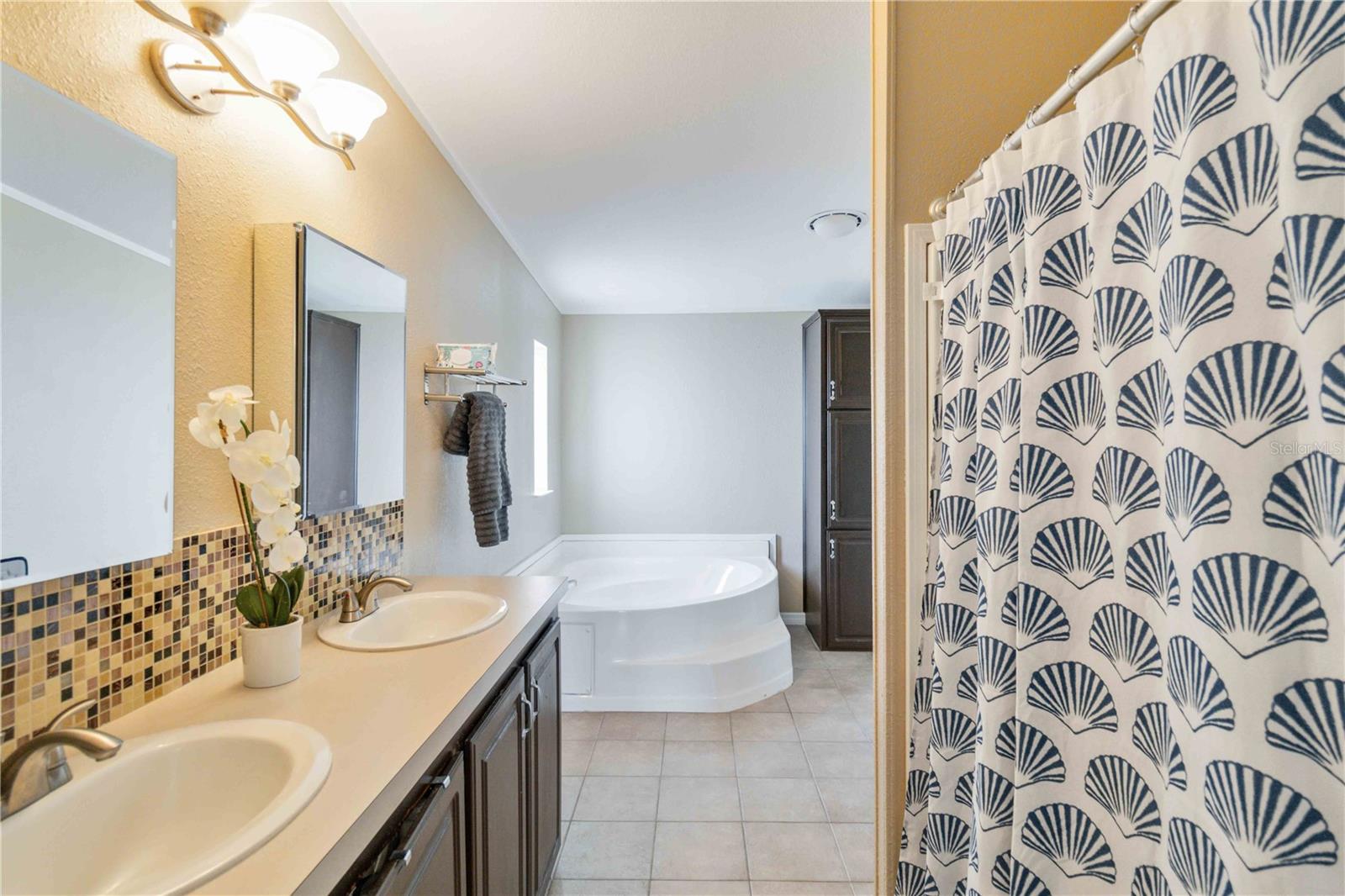 8343 FANTASIA PARK WAY, RIVERVIEW, FL, 33578