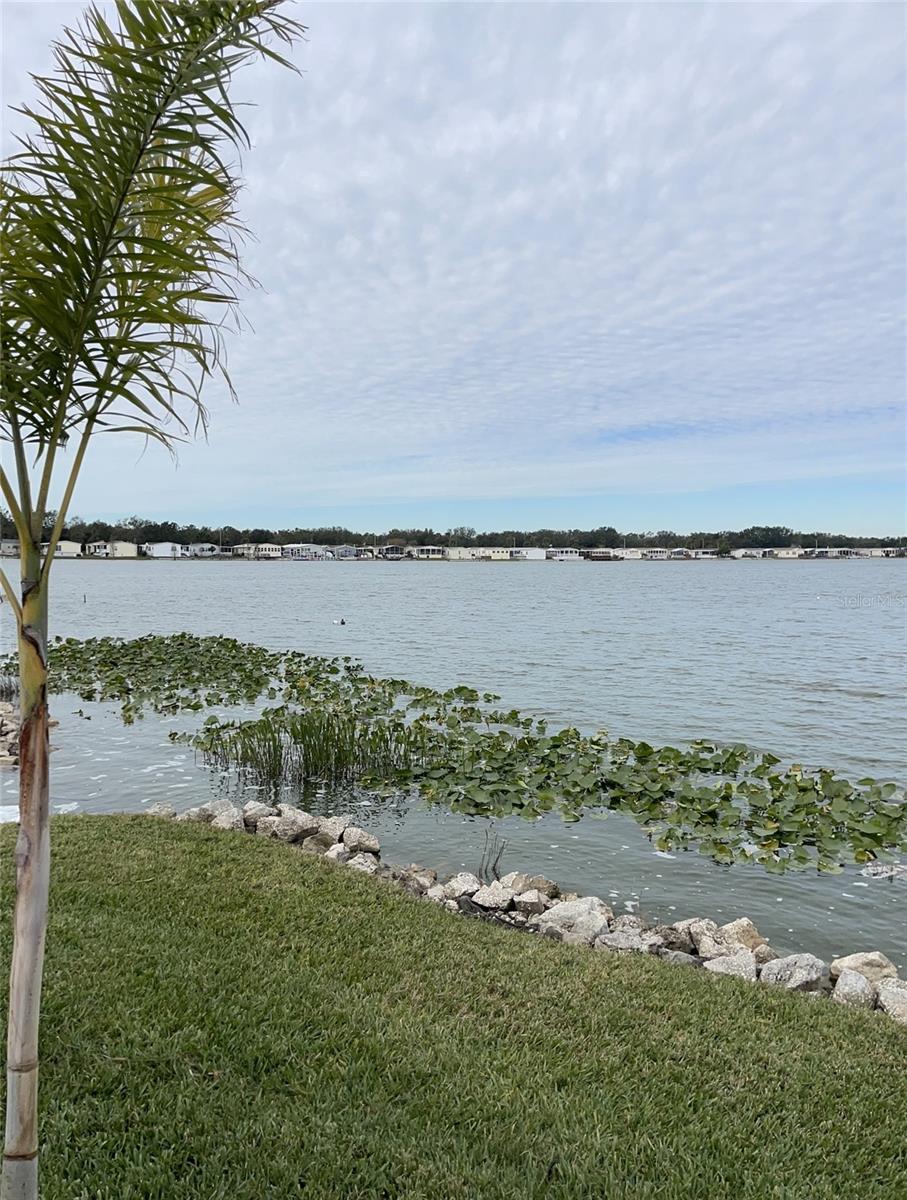 8343 FANTASIA PARK WAY, RIVERVIEW, FL, 33578