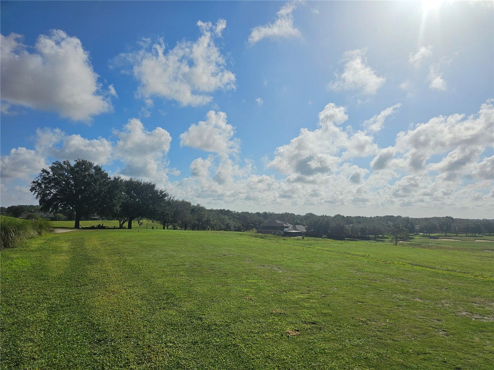 33836 VENICE LN, SORRENTO, FL, 32776
