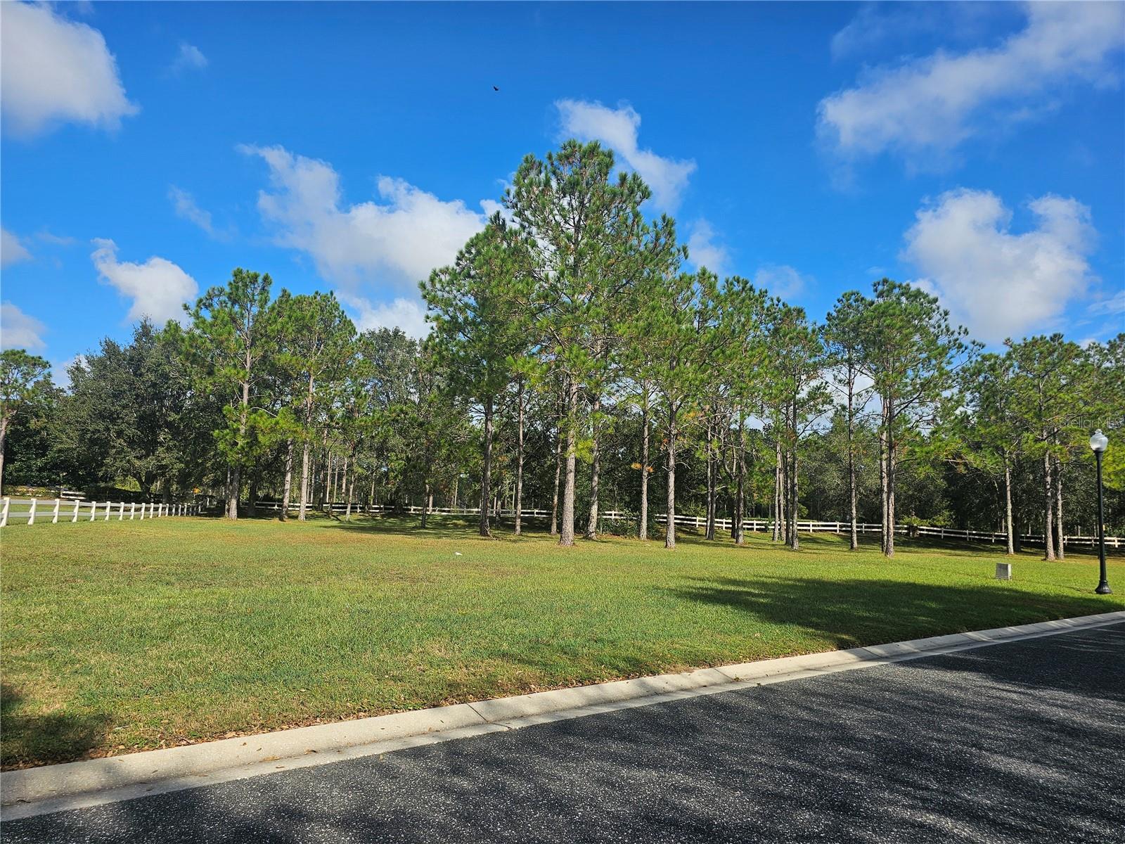 33836 VENICE LN, SORRENTO, FL, 32776