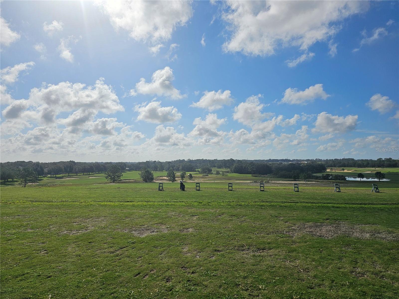 33836 VENICE LN, SORRENTO, FL, 32776