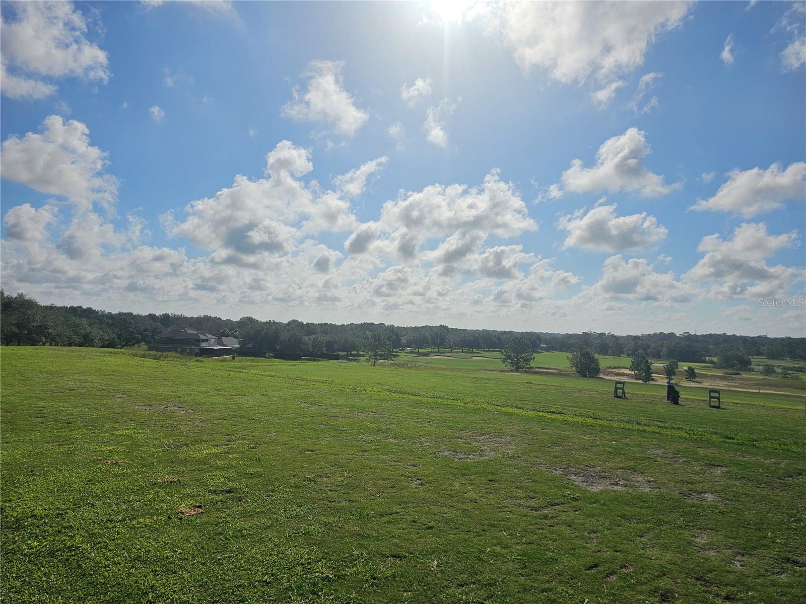 33836 VENICE LN, SORRENTO, FL, 32776