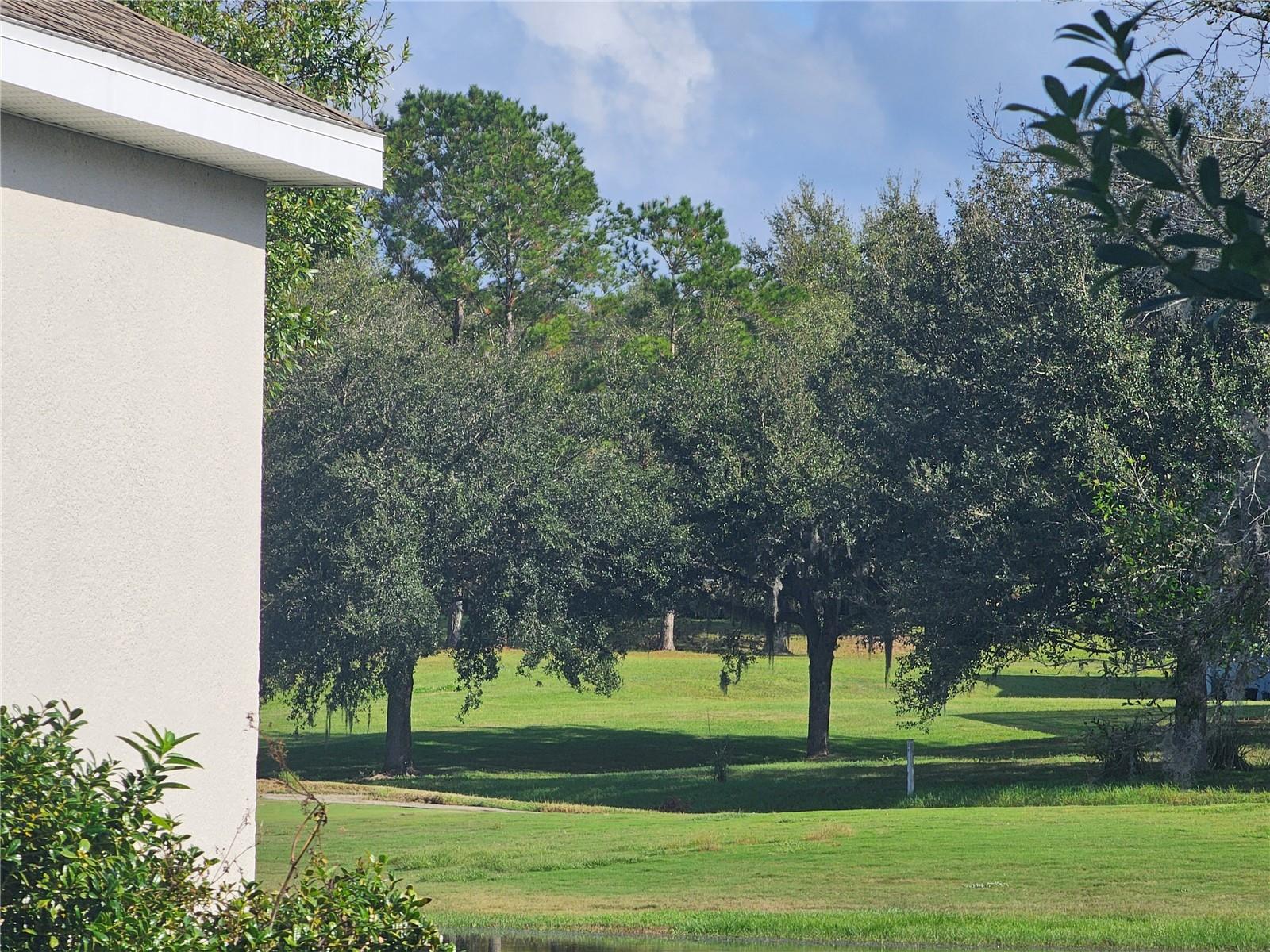 33836 VENICE LN, SORRENTO, FL, 32776