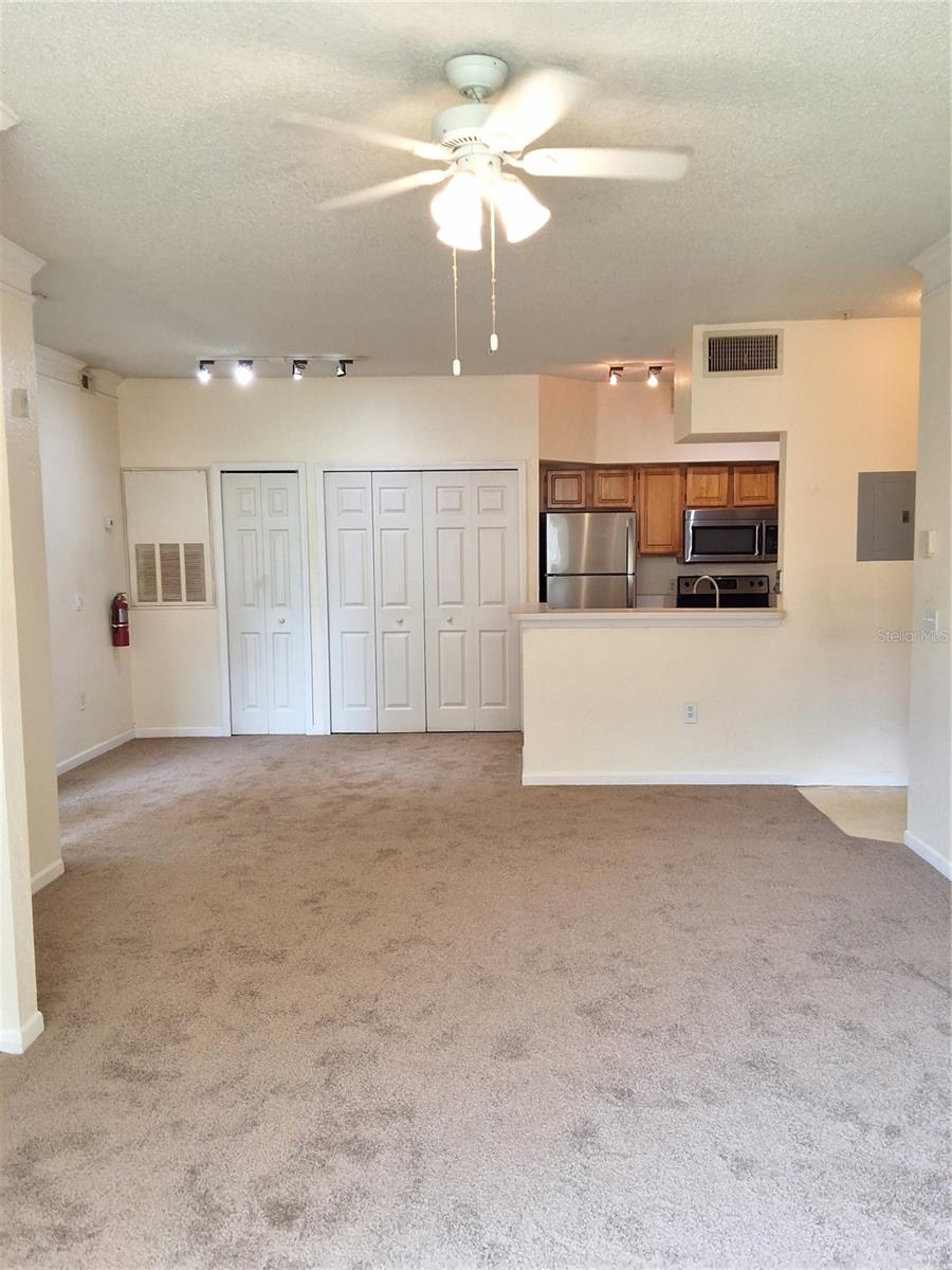 13103 MULBERRY PARK DR #817, ORLANDO, FL, 32821