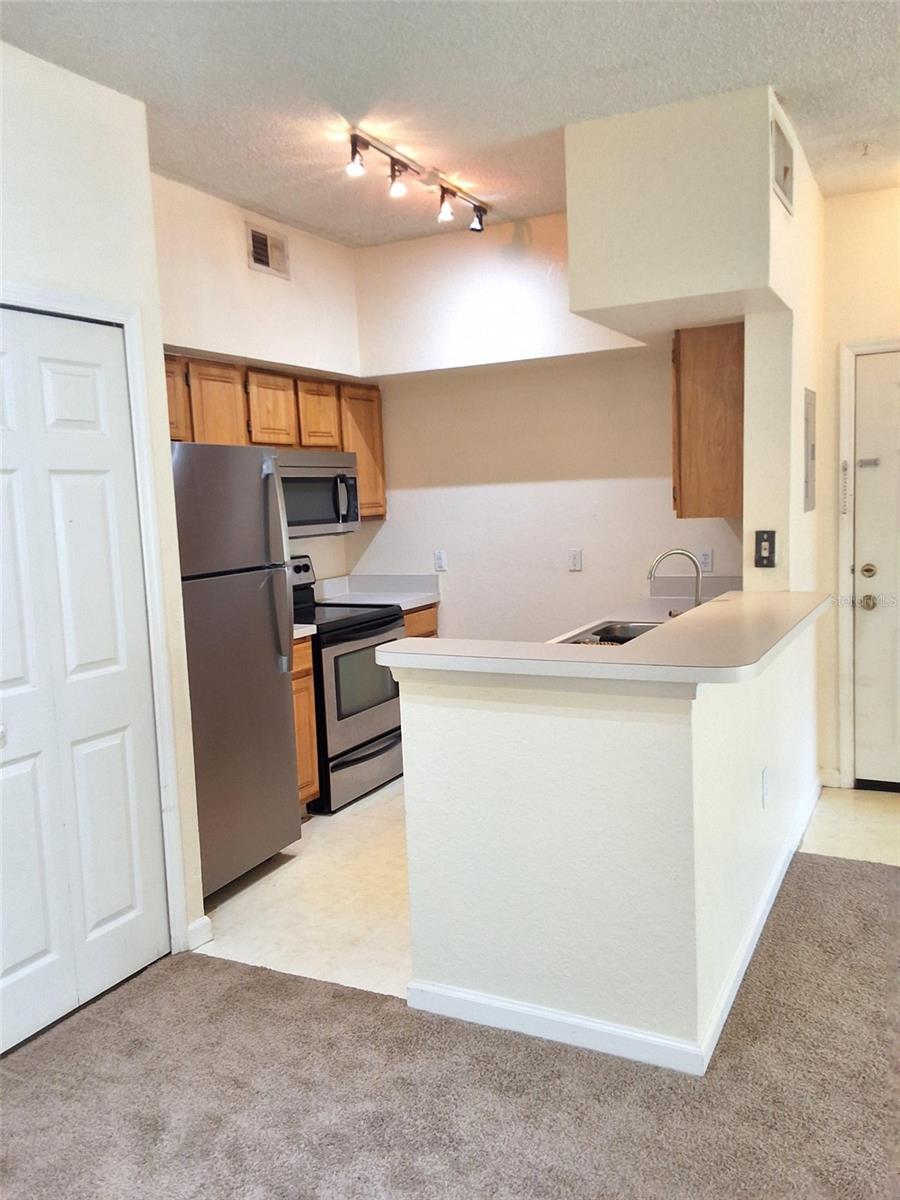 13103 MULBERRY PARK DR #817, ORLANDO, FL, 32821