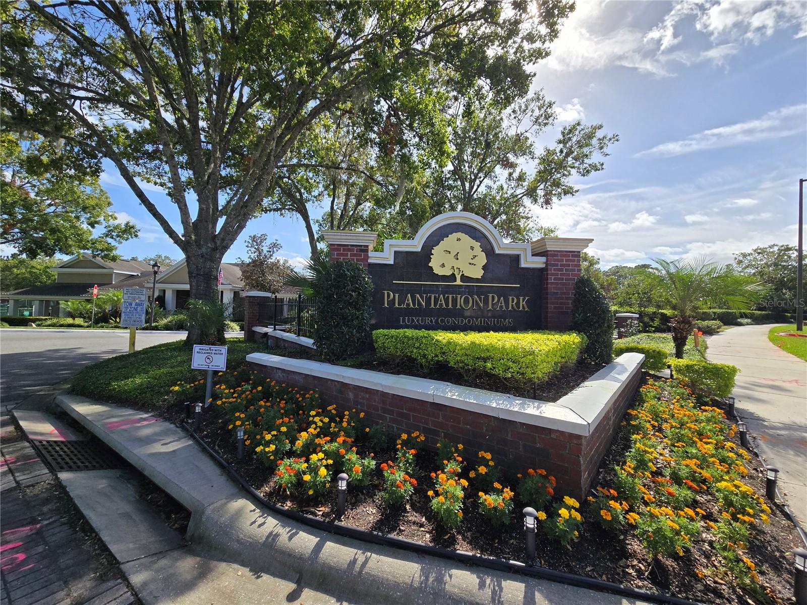 13103 MULBERRY PARK DR #817, ORLANDO, FL, 32821