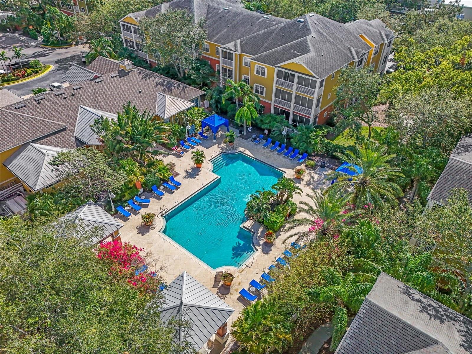 4207 S DALE MABRY HWY #11307, TAMPA, FL, 33611