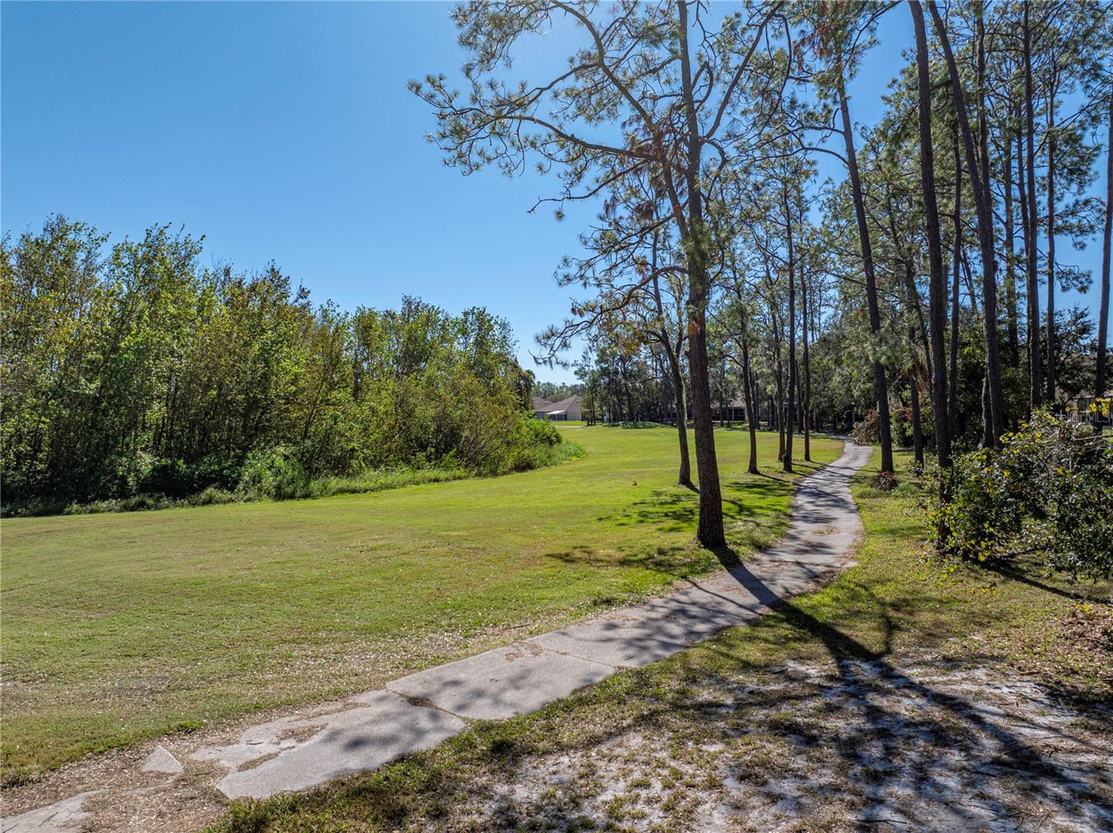 5726 AUTUMN SHIRE DR, ZEPHYRHILLS, FL, 33541
