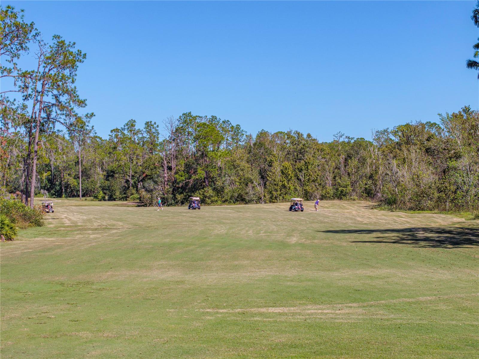 5726 AUTUMN SHIRE DR, ZEPHYRHILLS, FL, 33541