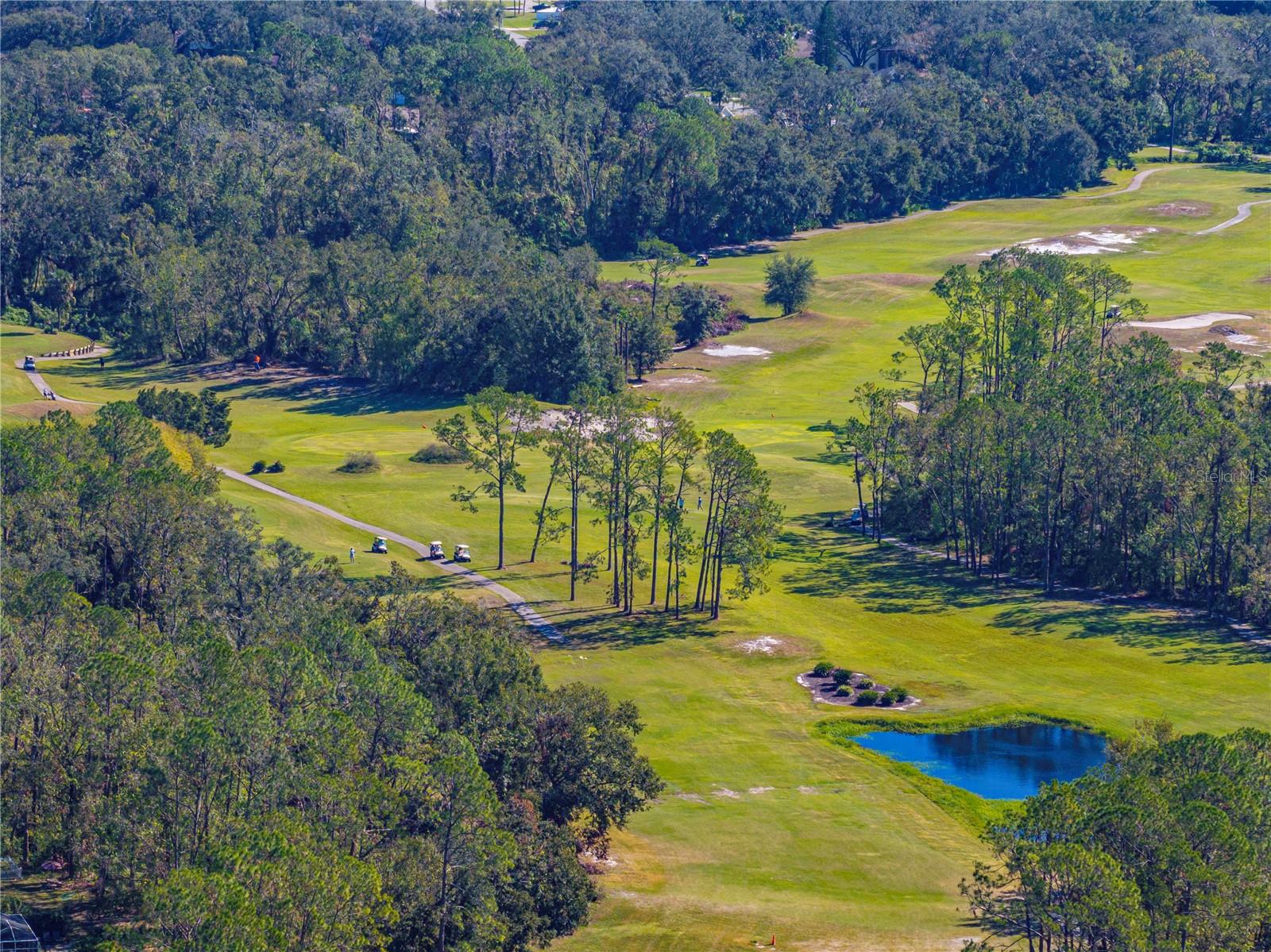 5726 AUTUMN SHIRE DR, ZEPHYRHILLS, FL, 33541