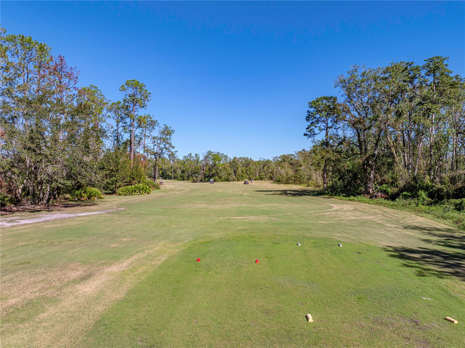 5726 AUTUMN SHIRE DR, ZEPHYRHILLS, FL, 33541