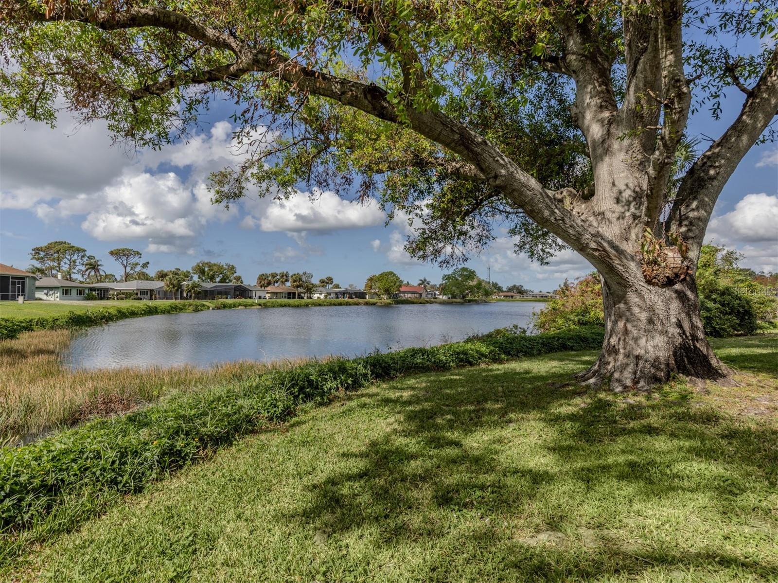 1141 SLEEPY HOLLOW CT, VENICE, FL, 34285