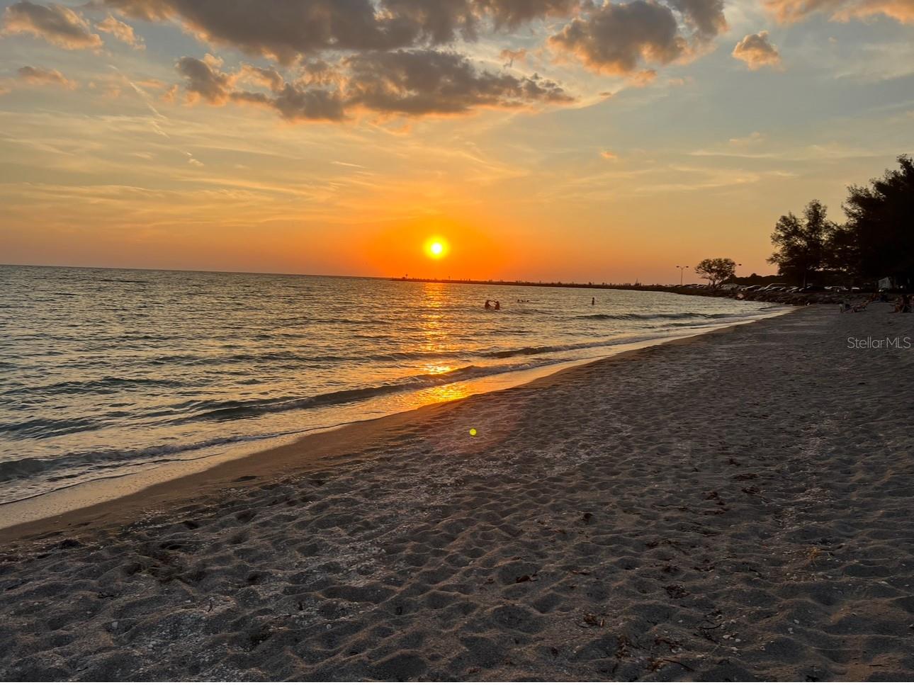 1555 TARPON CENTER DR #202, VENICE, FL, 34285