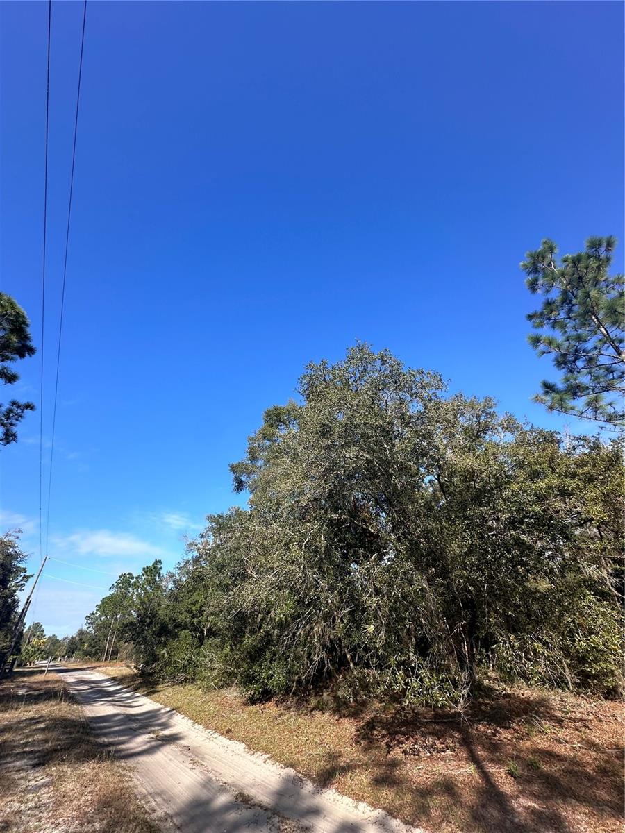 7429 N NATHAN PT, CRYSTAL RIVER, FL, 34428