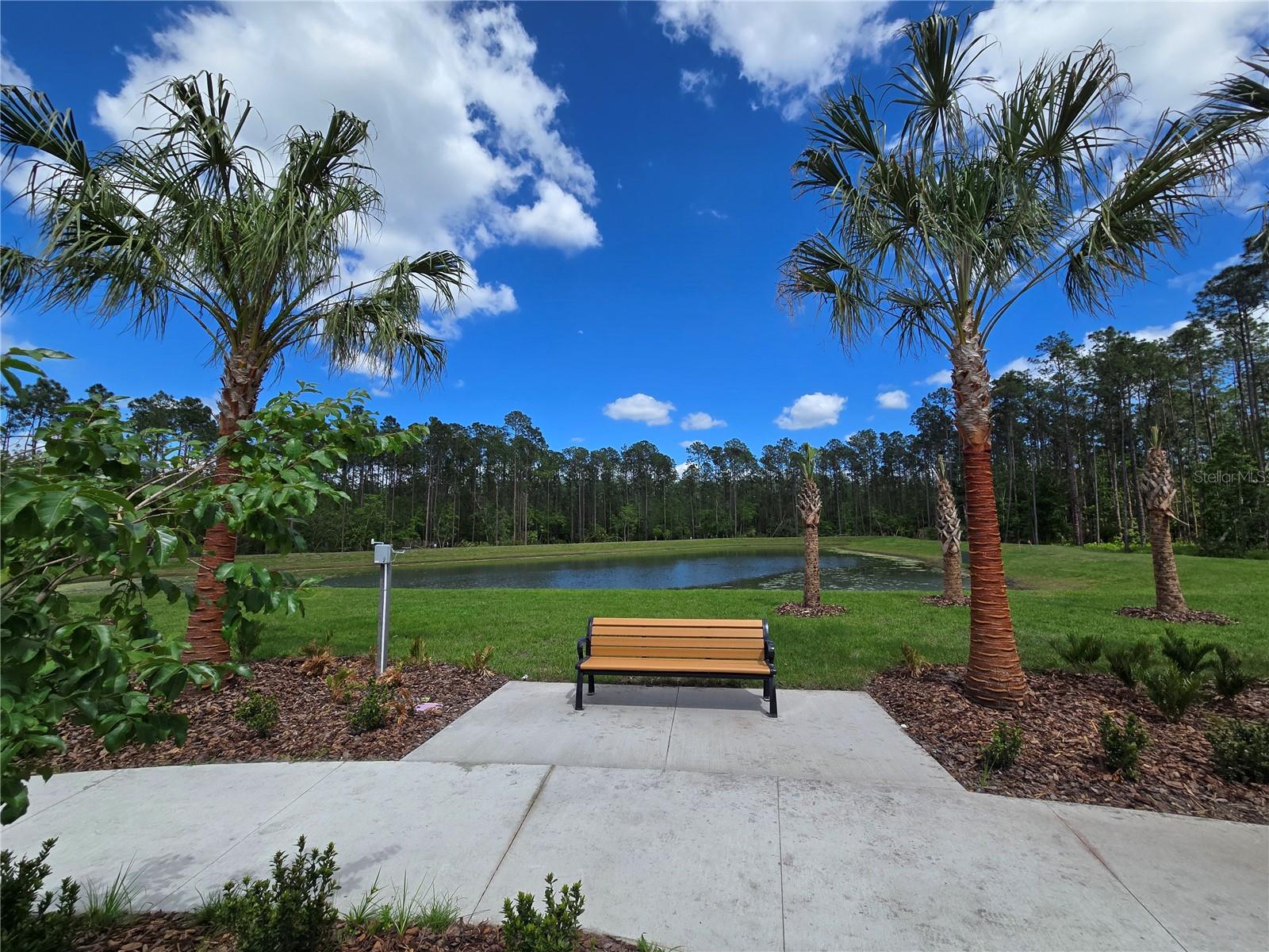 14427 CREST PALM AVE, WINDERMERE, FL, 34786