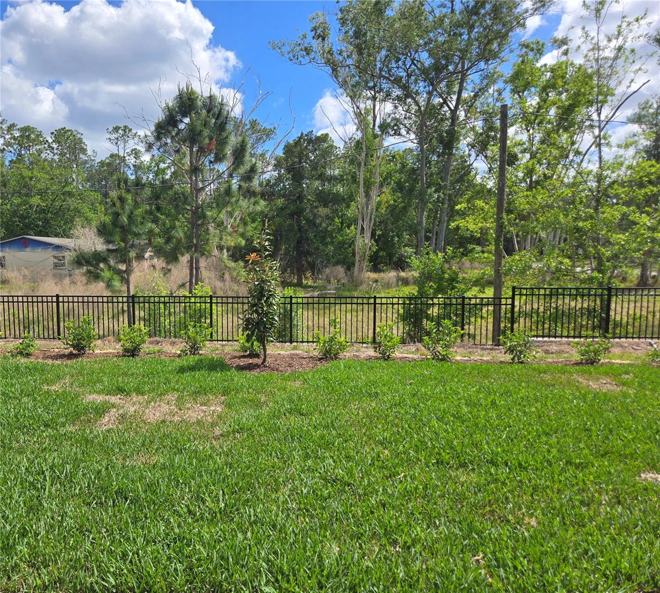 14427 CREST PALM AVE, WINDERMERE, FL, 34786