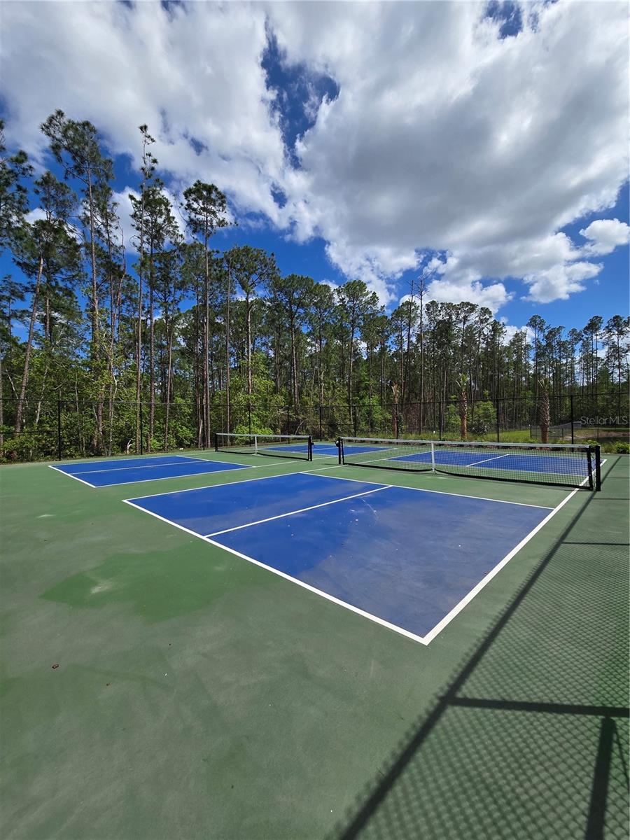 14427 CREST PALM AVE, WINDERMERE, FL, 34786