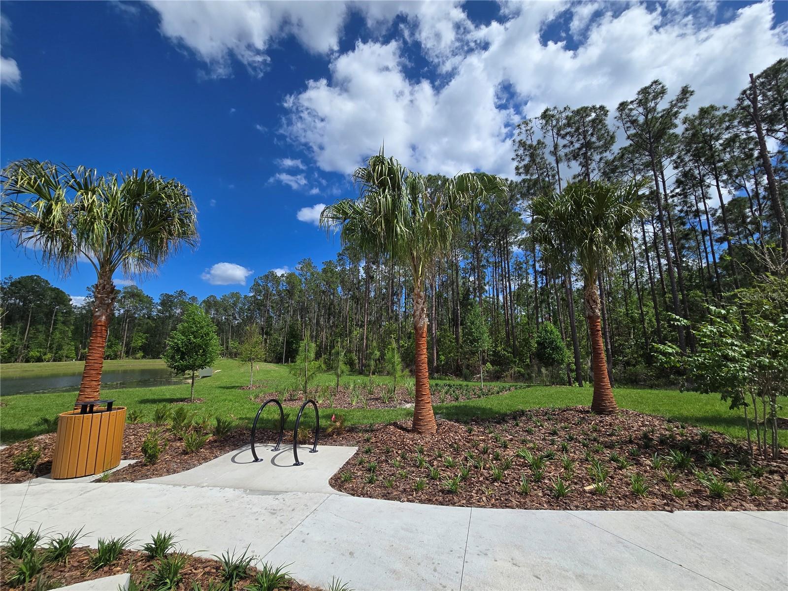 14427 CREST PALM AVE, WINDERMERE, FL, 34786