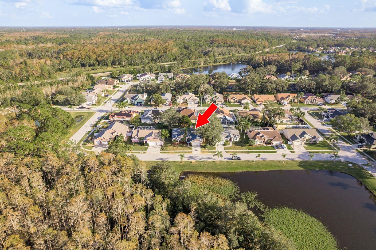5020 GALLATIN DR, NEW PORT RICHEY, FL, 34655