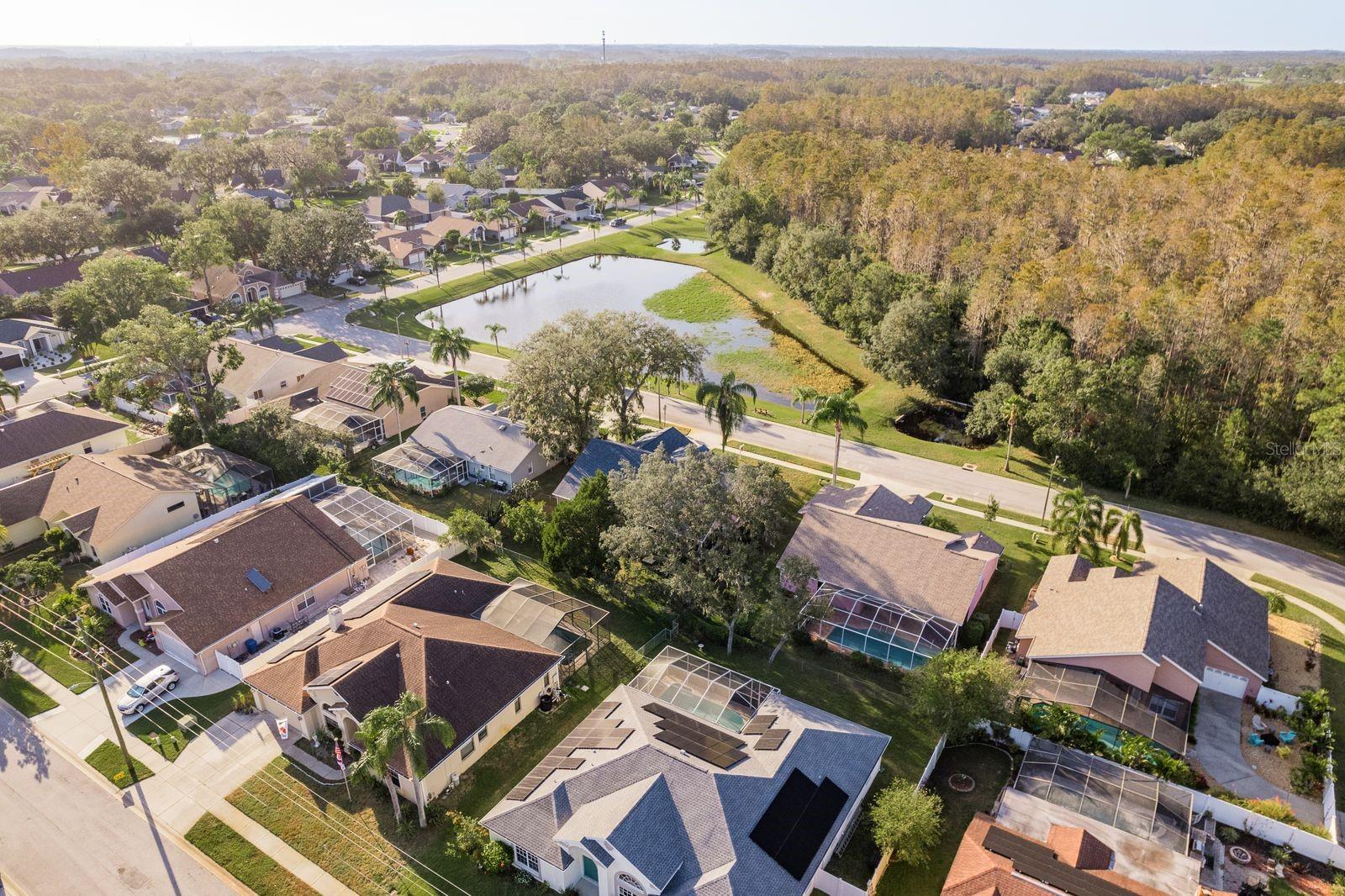 5020 GALLATIN DR, NEW PORT RICHEY, FL, 34655