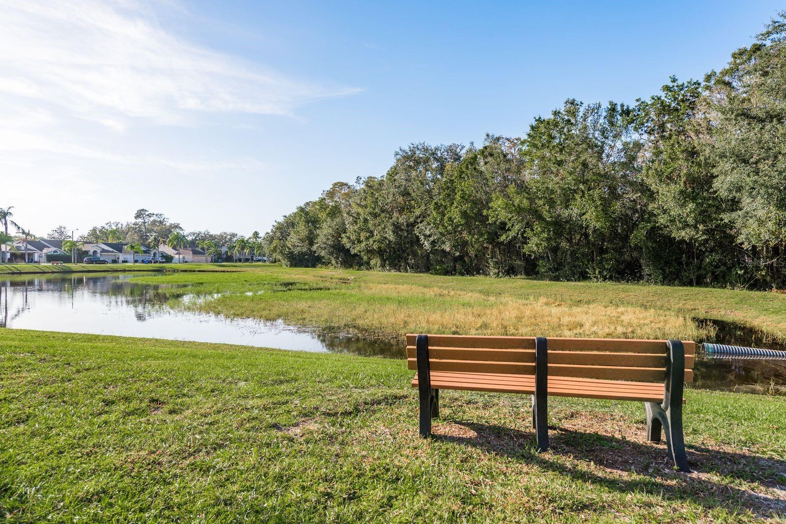 5020 GALLATIN DR, NEW PORT RICHEY, FL, 34655