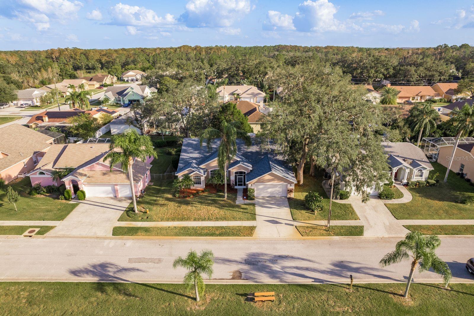 5020 GALLATIN DR, NEW PORT RICHEY, FL, 34655