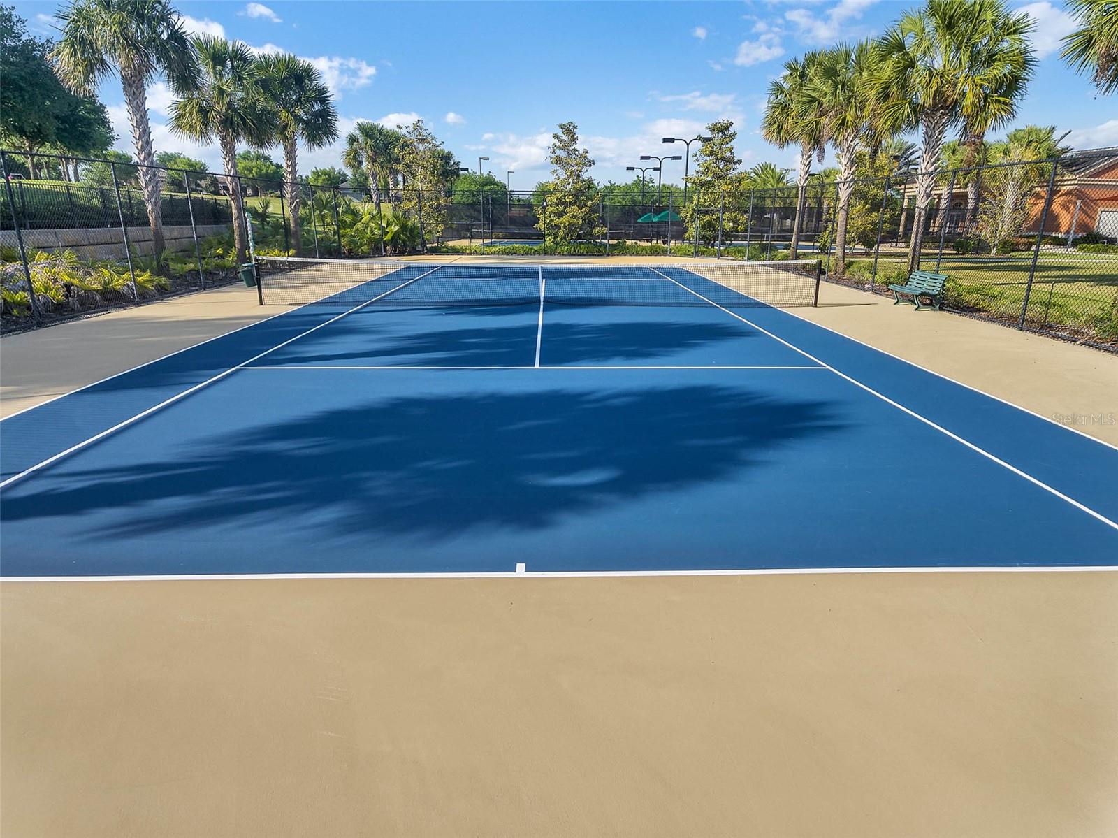 256 SILVER MAPLE RD, GROVELAND, FL, 34736