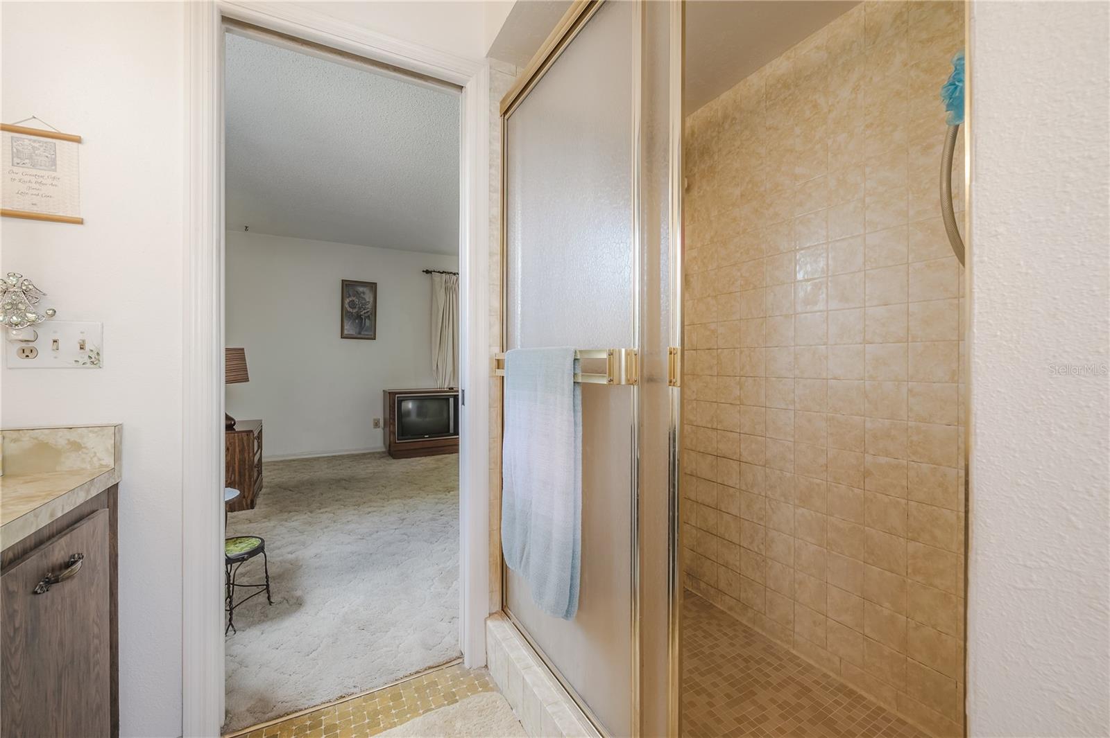 7515 OAKVISTA CIR, TAMPA, FL, 33634