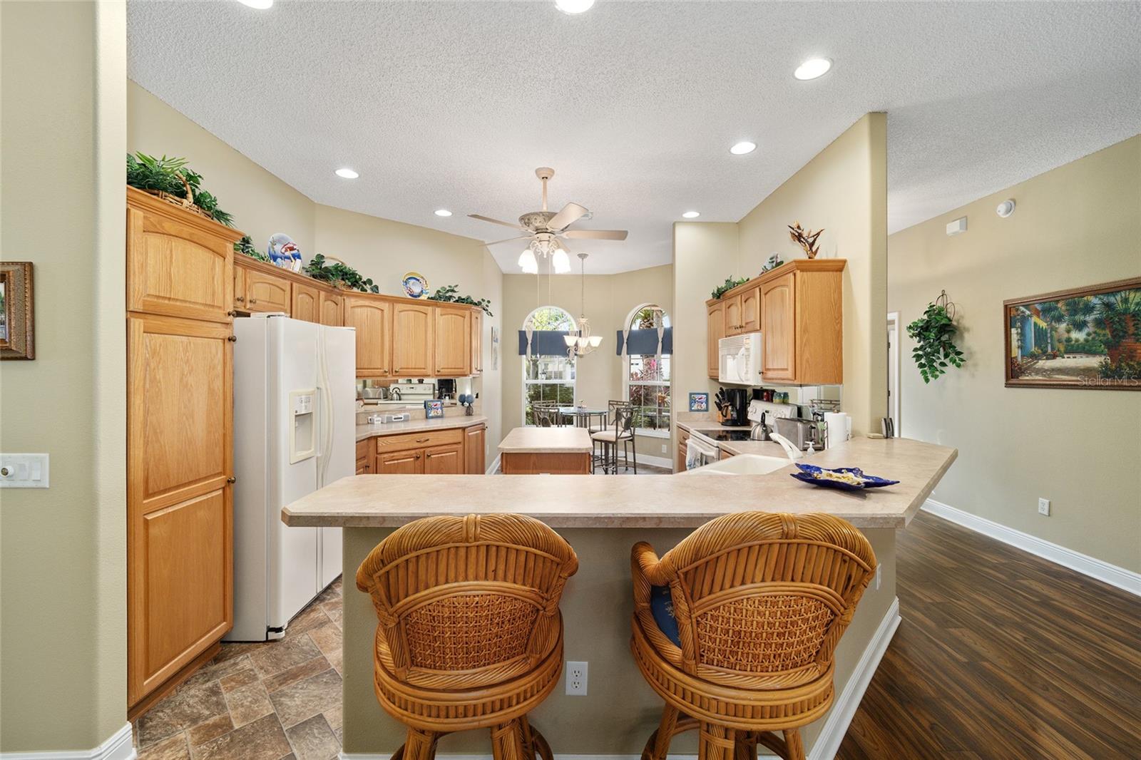 877 WINIFRED WAY, THE VILLAGES, FL, 32162