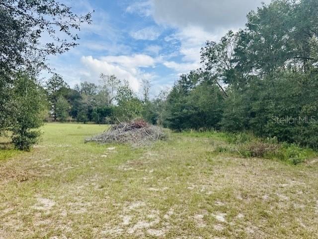 NW 93RD LN, BRANFORD, FL, 32008