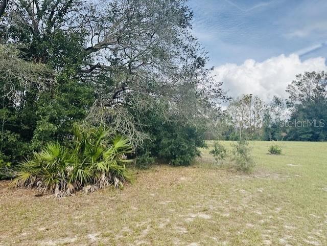 NW 93RD LN, BRANFORD, FL, 32008