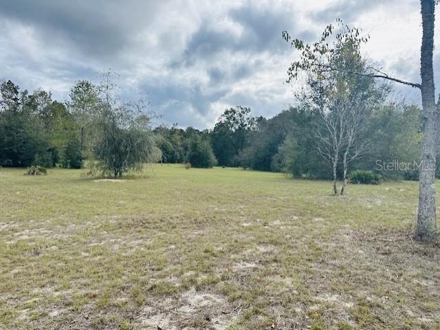 NW 93RD LN, BRANFORD, FL, 32008