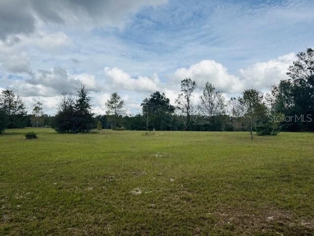 NW 93RD LN, BRANFORD, FL, 32008