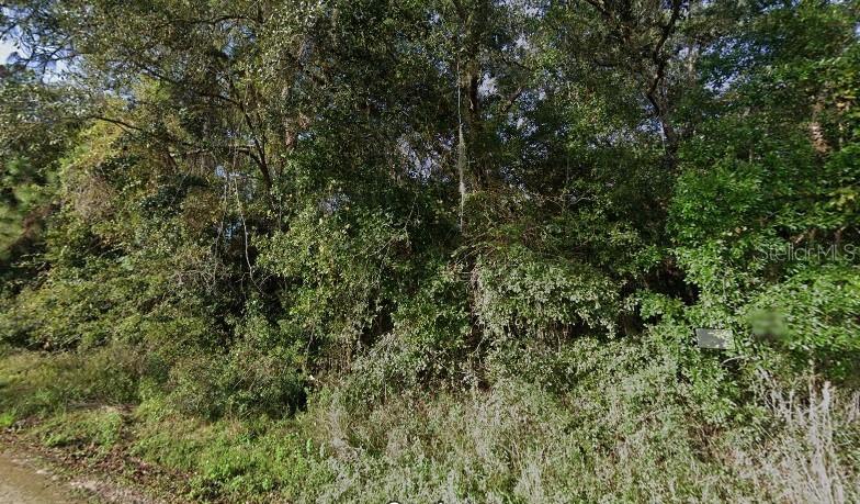 9111 CHIMNEY ROCK DR, WEBSTER, FL, 33597