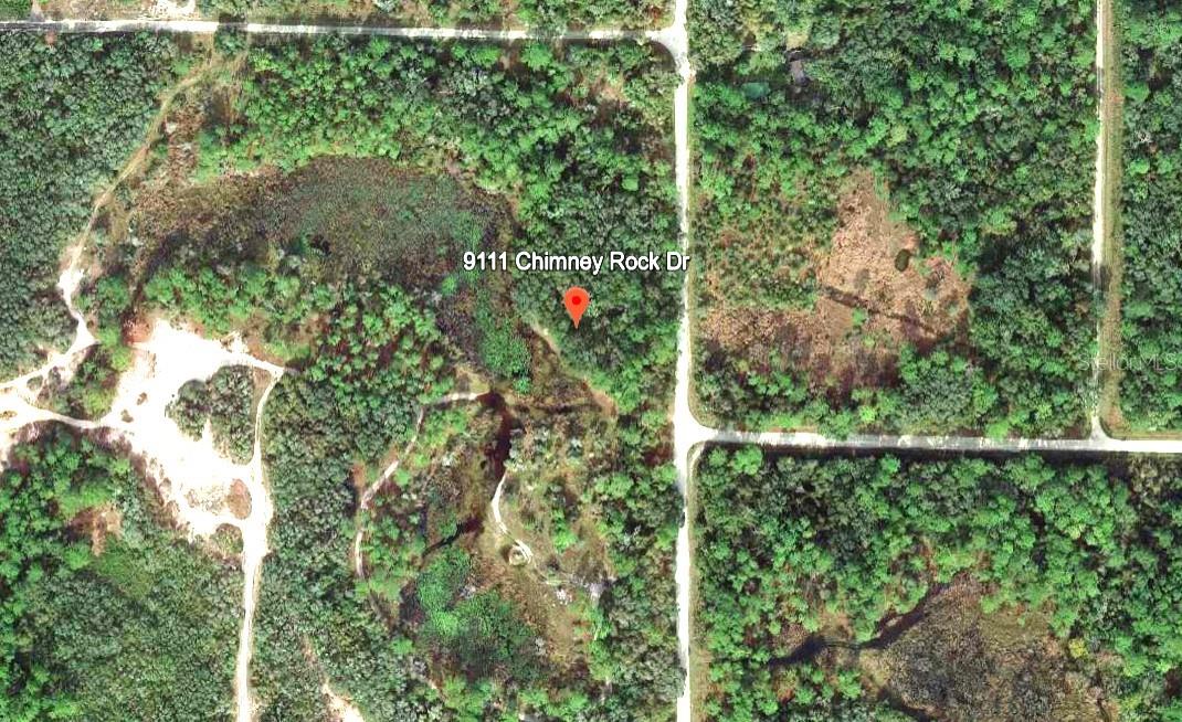 9111 CHIMNEY ROCK DR, WEBSTER, FL, 33597