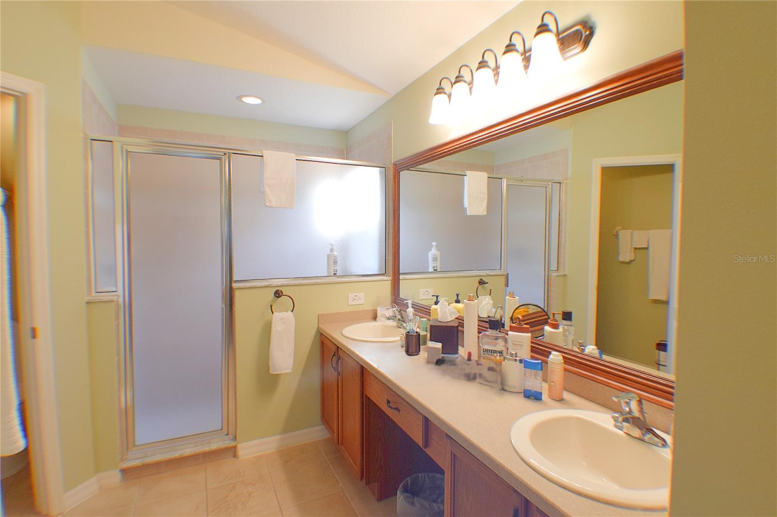 9454 ROLLING CIR, SAN ANTONIO, FL, 33576