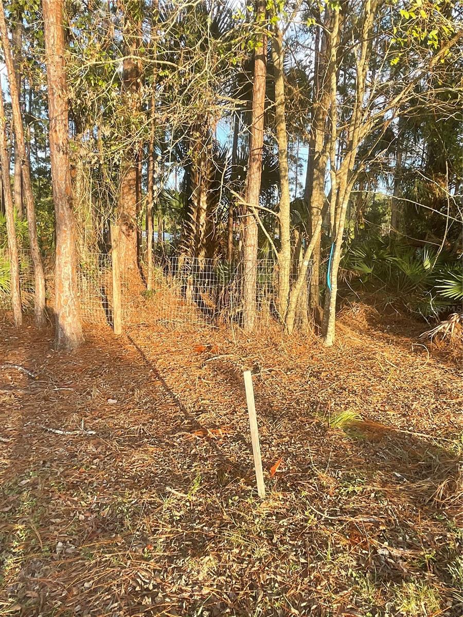 HOLLY BRANCH RD, EUSTIS, FL, 32736