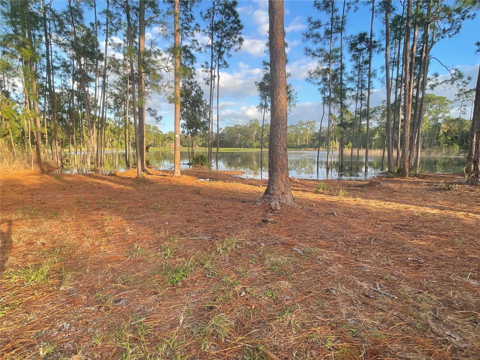 HOLLY BRANCH RD, EUSTIS, FL, 32736