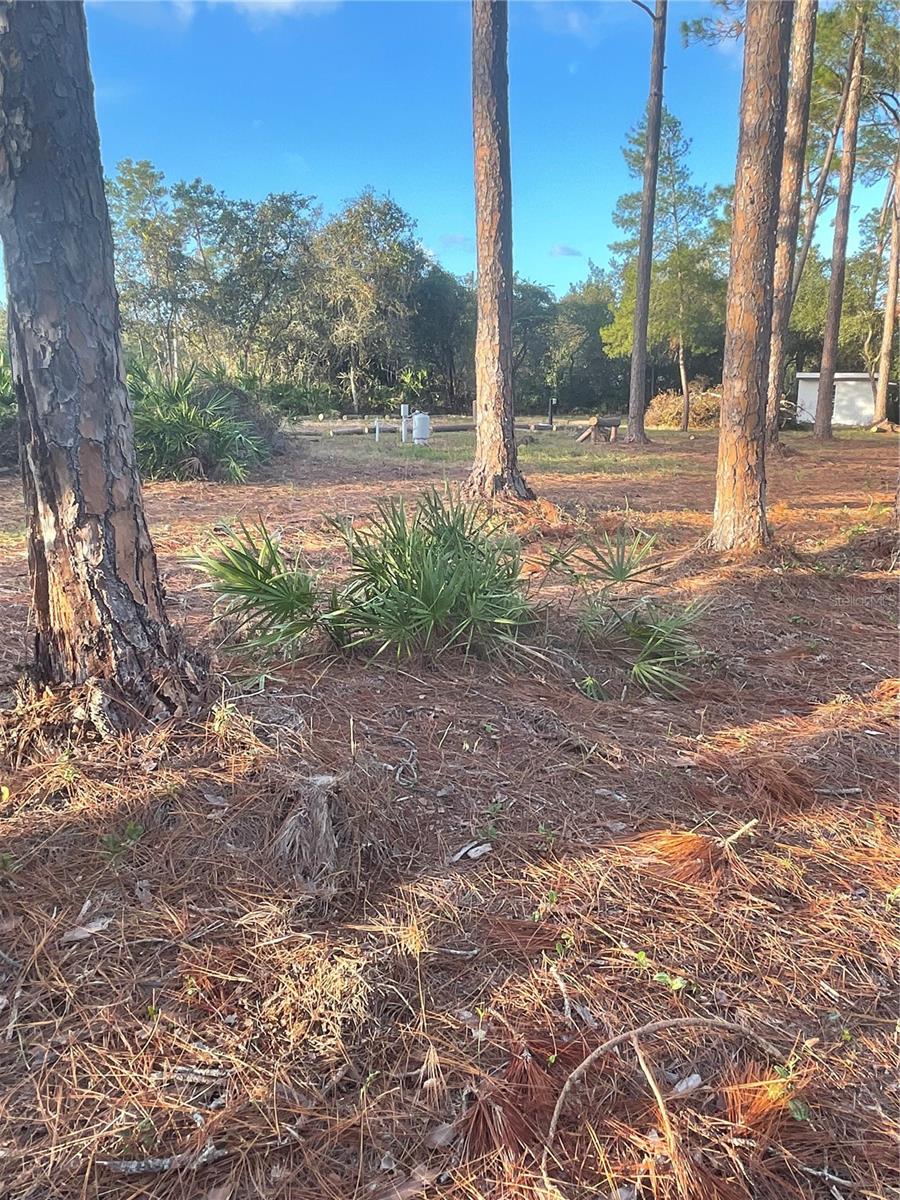 HOLLY BRANCH RD, EUSTIS, FL, 32736