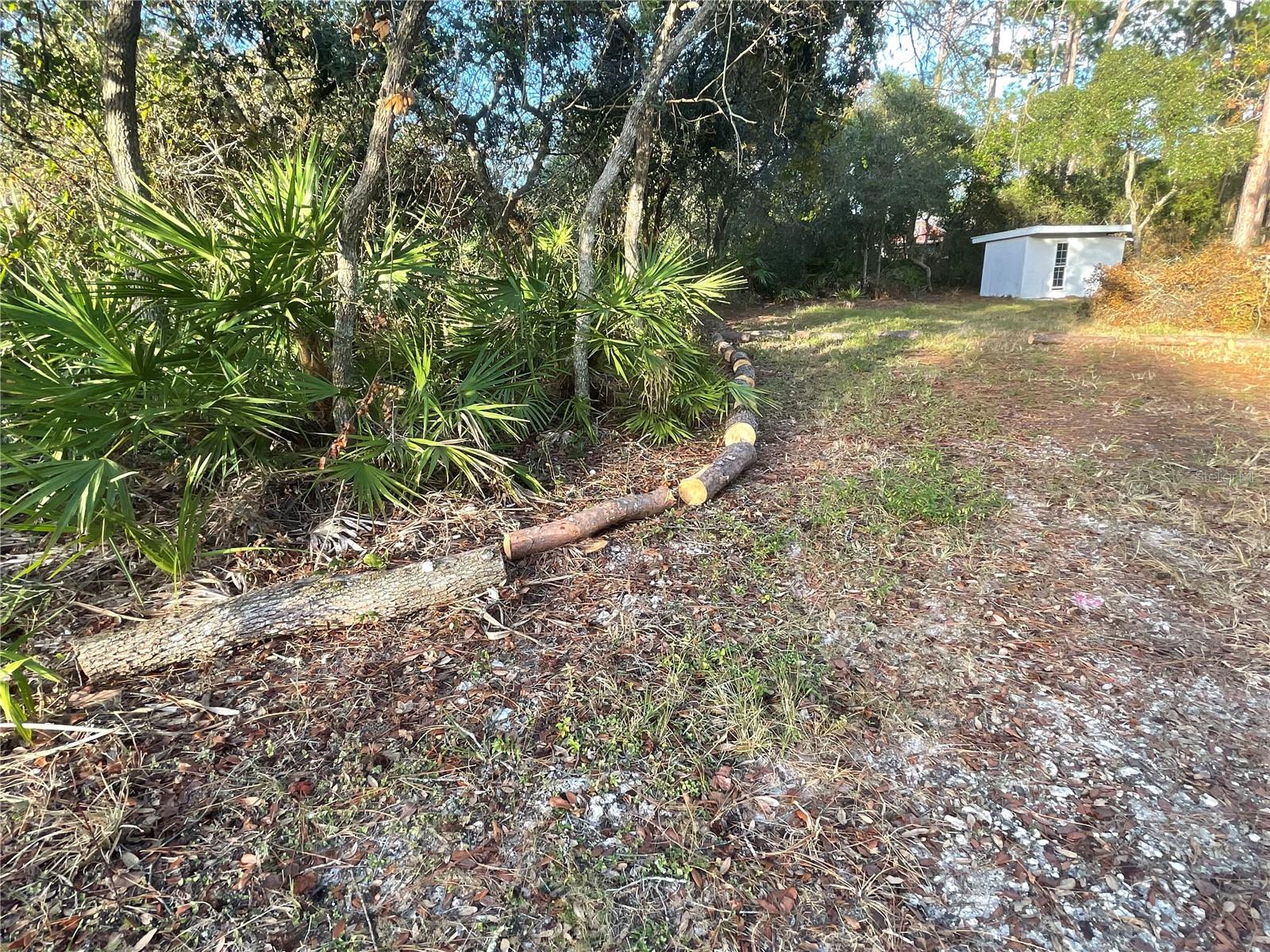 HOLLY BRANCH RD, EUSTIS, FL, 32736