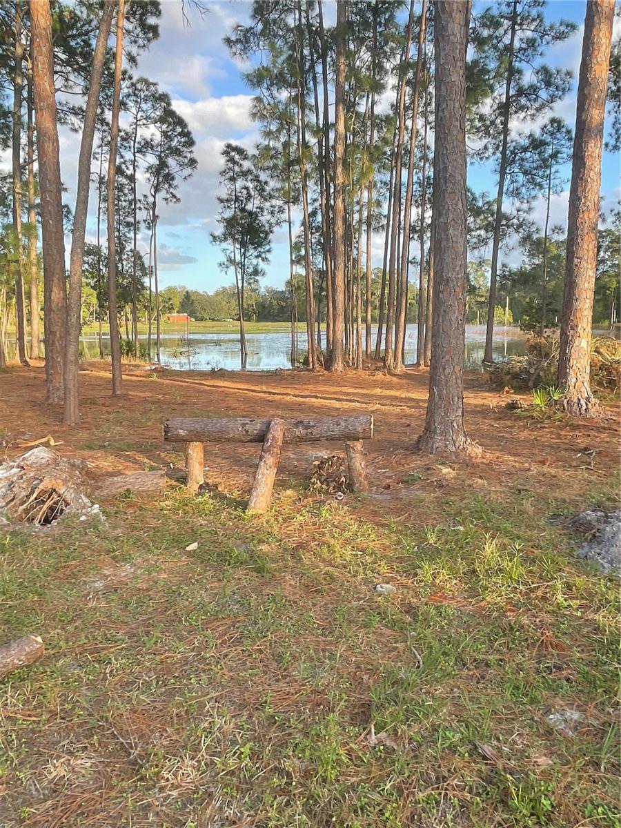 HOLLY BRANCH RD, EUSTIS, FL, 32736