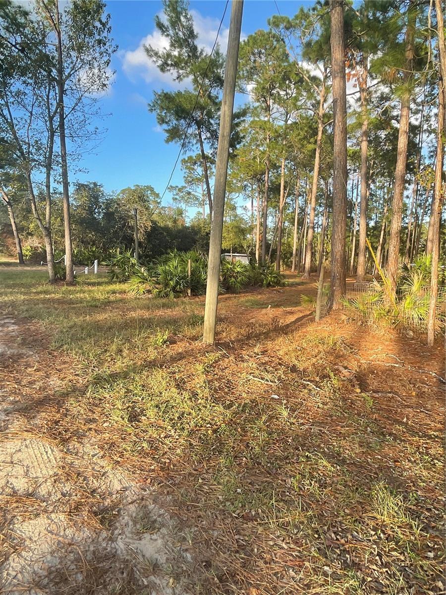HOLLY BRANCH RD, EUSTIS, FL, 32736