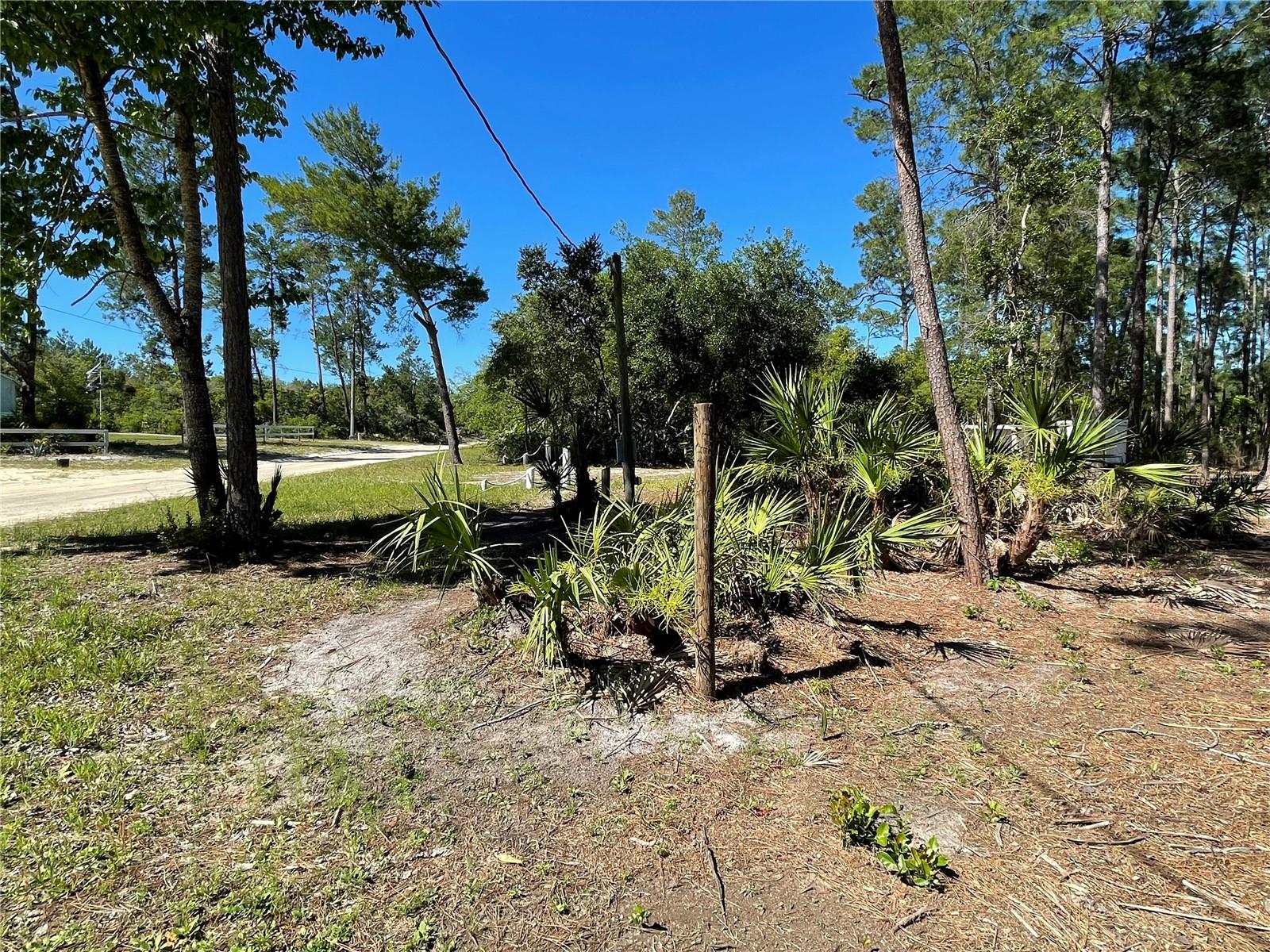 HOLLY BRANCH RD, EUSTIS, FL, 32736