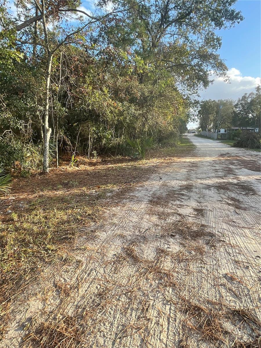 HOLLY BRANCH RD, EUSTIS, FL, 32736