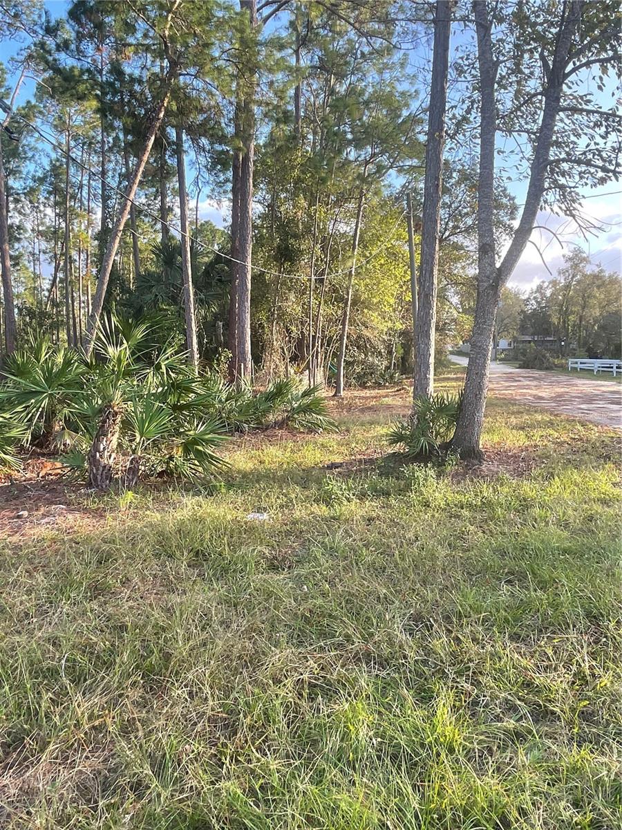 HOLLY BRANCH RD, EUSTIS, FL, 32736