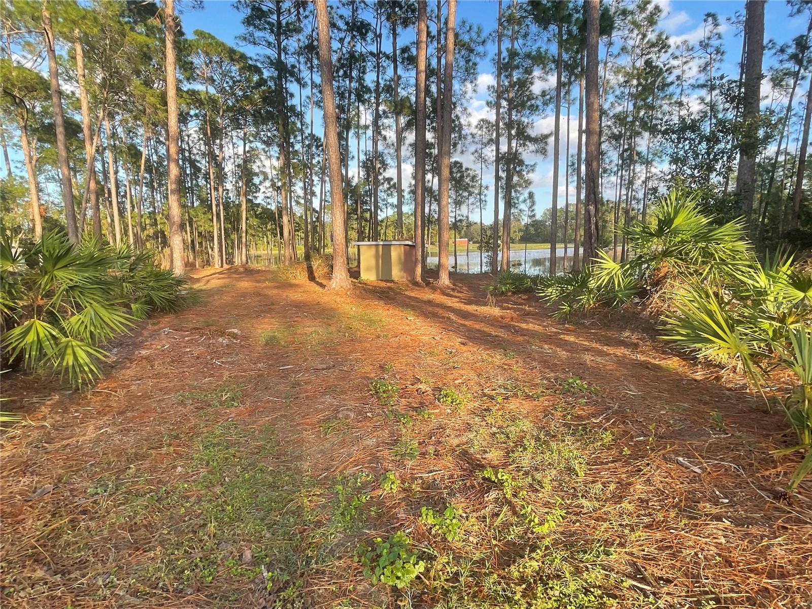 HOLLY BRANCH RD, EUSTIS, FL, 32736